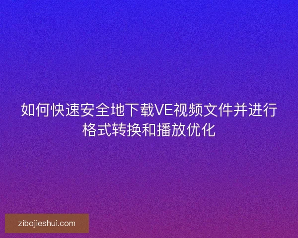 如何快速安全地下载VE视频文件并进行格式转换和播放优化