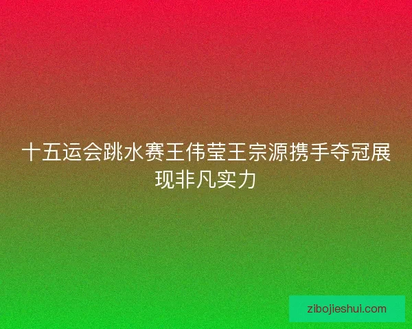 十五运会跳水赛王伟莹王宗源携手夺冠展现非凡实力